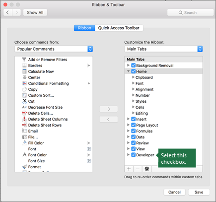 Select the checkbox next to Developer to add it to the ribbon