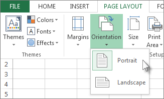 On the Home tab, click Orientation