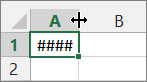 Number signs in a worksheet cell