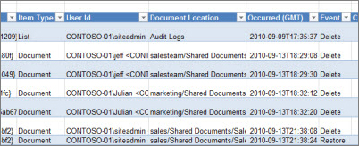 Delete Audit Report Report Data