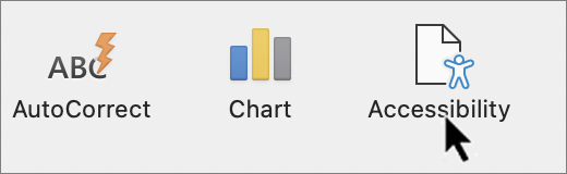 Accessibility settings section in app preferences